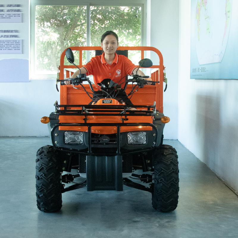 Electric 4x4 Farm Big Quad Bik - Outdoor Adventure Farm ulasan dan harga
