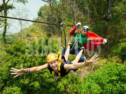Backyard Adventure Zip Line Ki - Outdoor Adventure Zipline ulasan dan harga